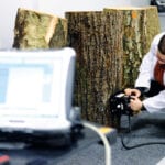 Tree density research paves the way for non-destructive testing methods