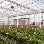 Monitoring an important greenhouse gas (Sponsored content)