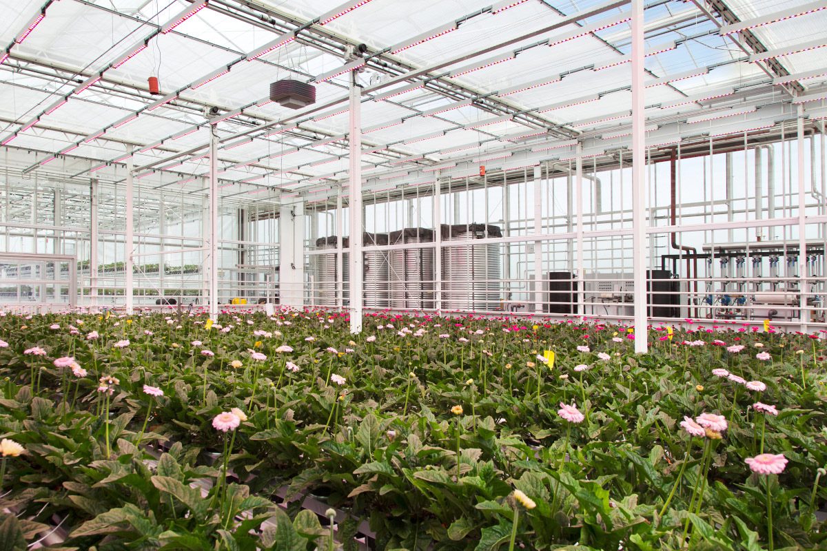 Monitoring an important greenhouse gas (Sponsored content) | Envirotec