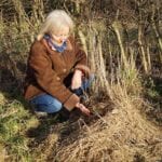 Put working conservationists at the heart of conservation policy, says charitable trust