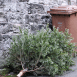 SEPA household waste statistics 2019 highlight positive trends on recycling, carbon emissions and reduced landfill use