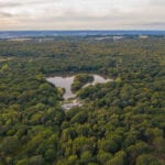 Epping forest aerial shot