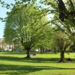 Trees in St Andrews Park in Bristol