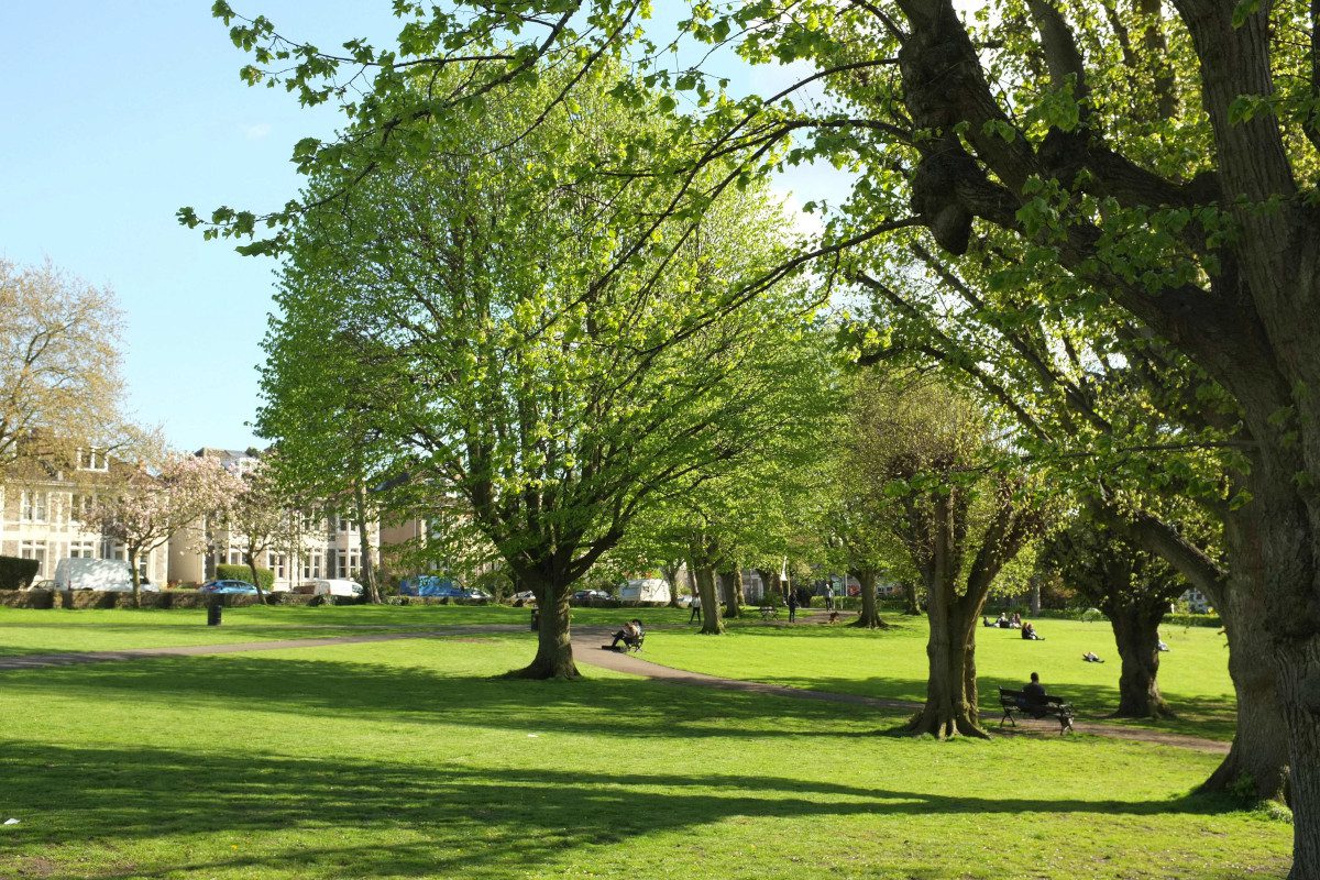 trees-St-Andrews-park-Bristol