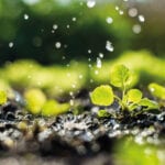 New research finds way to meet agricultural water demand by responsibly reusing wastewater