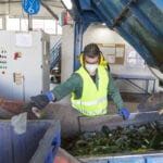 Which countries are winning the war on waste?