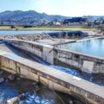 Welsh biotech firm announces AD-boosting additive