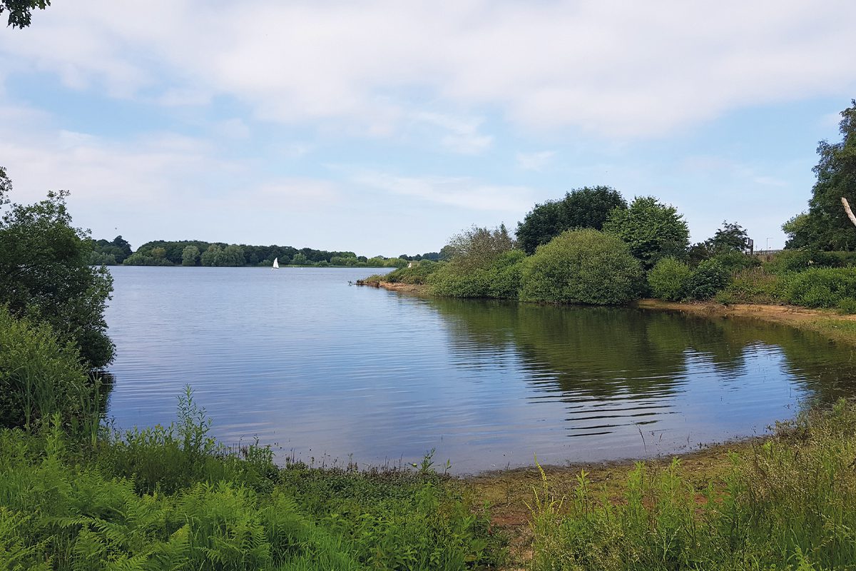 Alton Water reservoir
