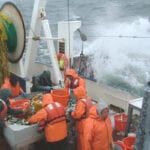 Study proves bits of DNA in seawater correlate to the weight of netted fish, say researchers