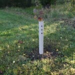 Biodegradable tree guards reduce environmental impact