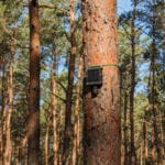 National Trust to deploy wildfire sensors in a UK first Dryad Networks IoT Sensors