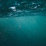 Tube pump supports microplastics hunt microplastics in water