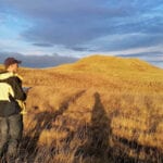 Image – Tilhill_thinkWhere_144107_agil