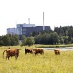 Including Waste-to-Energy in the EU ETS won’t help sustainable waste management, says trade group