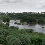 Global study of 48 cities finds nature sanitizes 41.7 million tons of human waste a year