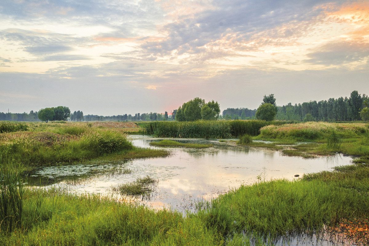 ecological wetlands