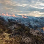 NW England firefighters urge caution over moorland fires risk