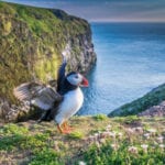 £9.8 million boost for Wales’ biodiversity: Projects invited to pitch