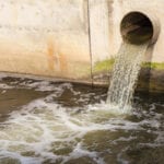 Ruling strengthens wildlife protection amid nutrient pollution concerns