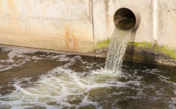 Ruling strengthens wildlife protection amid nutrient pollution concerns