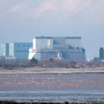 Fish clogging in cooling tunnels threatens power station safety