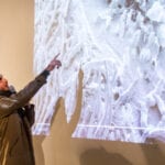 Researchers add detail to understanding how micro- and nanoplastics move through the environment