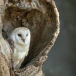 Community interest group applies for court hearing in battle against Local Plan decision in Oxfordshire