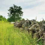 Sustainable concept for wood-based textile fibres