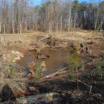 World Economic Forum: “Investing less than 1% of world GDP into nature-based solutions can tackle climate change and biodiversity crisis”