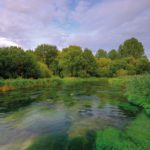 Salty reception for proposed New Forest desalination plant