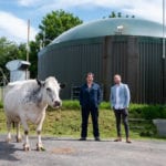 Cowpat crypto: A sustainable earner?