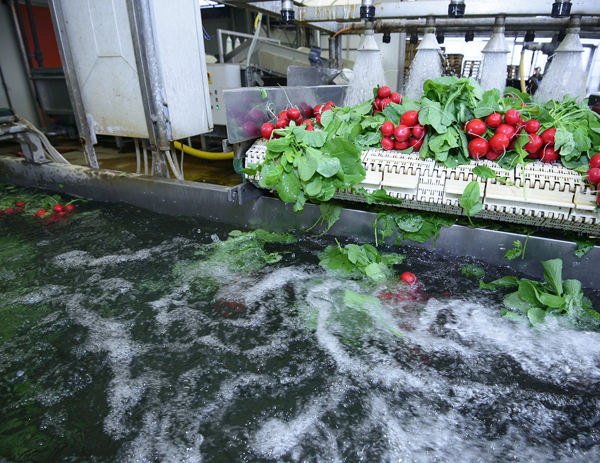 water in the food and beverage industry 
