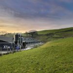 Can food waste offer the solution to food security? Product uses insects to convert it to animal feed