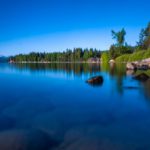 ‘Live fast, die young’ cycle threatening California’s ecosystems