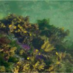 Research reveals remarkable resilience of sea life in the aftermath of mass extinctions