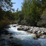 Grab your camera or phone and help create a new film, says forestry group