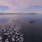 Taming the black gold