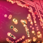 Something in the air