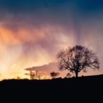 Opinion: Policies for tackling climate change must work in rural areas too