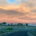 Treat climate change and biodiversity loss as one, says European science advisory group