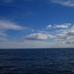 All but two of Scotland’s offshore marine ‘protected’ areas are paper parks