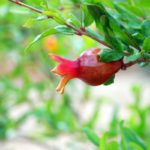 Reports showcase imaginative solutions for tackling hard-to-reach emissions