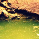 Using a mineral ‘sponge’ to catch uranium