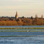 Sewage pollution makes popular Oxford bathing site unsafe after rainfall, say researchers