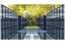 UK must become the next ‘Green AI superpower’ says AI trade group