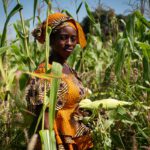 If we lose biodiversity, we will not address climate change or hunger, warns report