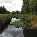 Chalk streams should be given enhanced status, says strategy document