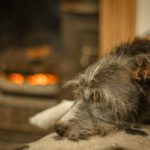 New stove emissions regulation sets a minimum standard