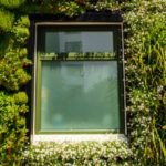 Living walls can reduce heat lost from buildings by over 30%, says study