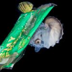 A clean ocean by 2030: UN panel charts “the most direct course”